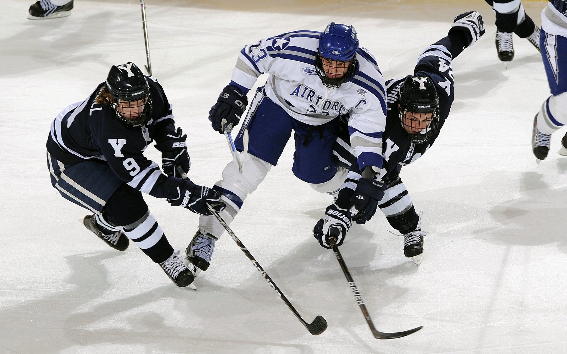 国际帆船赛激战正酣,顶尖选手逐浪争锋